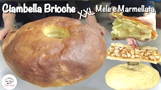 CIAMBELLA BRIOCHE XXL Mele e Marmellata 🍎 SOFFICISSIMA🍎 [upl. by Kerrison536]