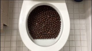 Will it Flush  Whoppers [upl. by Valentijn]