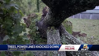 Winds from Helene bring trees wires down across Greater Cincinnati area [upl. by Ahsinrats686]