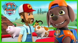 Os Cães salvam os Animais e a quinta inundada  Patrulha Pata PAW Patrol Episódio Português [upl. by Assylla]