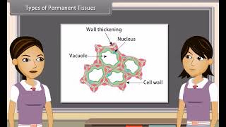 Standard 9 Science Chapter 6  Tissues  Quick revision [upl. by Bertrando]