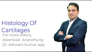 Histology of Cartilages  Anatomy Videos by Dr Ashwani Kumar [upl. by Jard934]