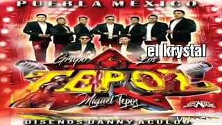 Los tepoz mix 2020 lo mejor [upl. by Dazhehs]