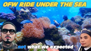 PART  1 TRAVELING UNDER THE SEA WITH NIVE VIEW IN CORALS AND SEA CRETURE NICE MUSIC [upl. by Akfir]