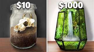 10 vs 1000 Terrarium Ecosystem [upl. by Narbig]