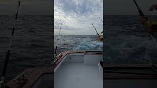 DEEP SEA FISHING fishing deepsea extreme sunrise waves [upl. by Michi]