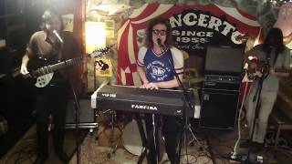 Triptides live  Concerto Record store 2652017 [upl. by Ecinue]