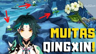 Rota de farm de Qingxin Otimizada  Genshin Impact [upl. by Otrebla]