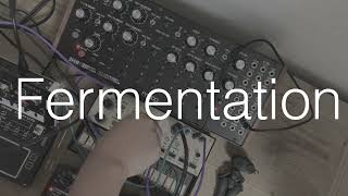 Korg Volca Keys and NTS1 SQ1 moog DFAM Ambient Fermentation [upl. by Azelea]