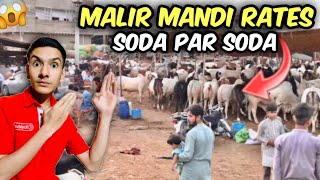 Malir Mandi Karachi Cattle Rates Update  18May2024  Soda Par Soda  Mandi 2024 Vlog [upl. by Nylsej]