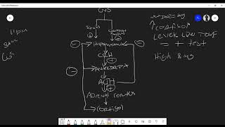 Understanding the Dexamethasone Suppression Test [upl. by Andonis]