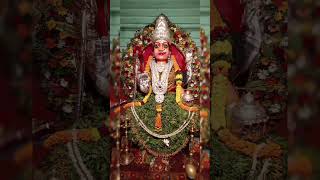 9days of saripalli Durga amma [upl. by Handbook]