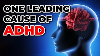 ADHD in Adulthood Major Cause You Must Know Neuroinflammation [upl. by Marder]