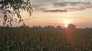 bejan dil ko tere ishq ne zinda kiya [upl. by Rodina]