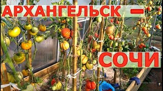 РЕЗУЛЬТАТЫ ЗРИТЕЛЕЙ АРХАНГЕЛЬСК СОЧИ [upl. by Anolla]