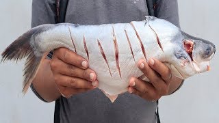 Pangasius Fish Fry Recipe  Amazing Way to Cutting Pangasius Fish  How To Cook Pangasius Fish [upl. by Irdua358]