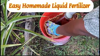 Making amp Using the Most Effective Liquid Fertilizerthecharlesftlaudgarden [upl. by Lorien]