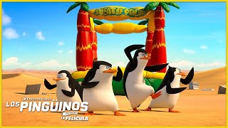 Los pingüinos nunca se asustan 💪🏼  DreamWorks Madagascar en Español Latino [upl. by Eniortna]