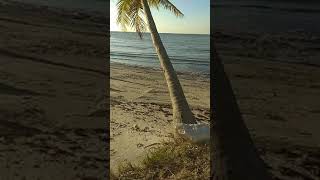 Nature relaxation Most beautiful tropical beach 4k  Smathers Beach 4knature 4kfootage [upl. by Strander]