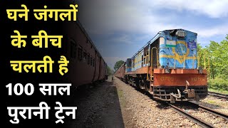 Journey through Katarniaghat and Dudhwa Wildlife Sanctuary in Meter Guage train [upl. by Ecarret]