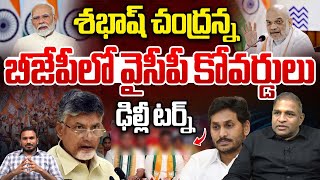 బీజేపీలో వైసీపీ కోవర్డులు  YCP Coverts On AP Nominated Posts  Chandrababu  BJP  Wild Wolf Telugu [upl. by Rist]