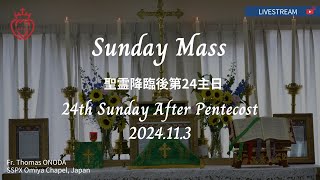 【LIVE】聖伝のミサ 2024年11月3日 聖霊降臨後第24主日 2024113 TwentyFourth Sunday After Pentecost SSPX JAPAN [upl. by Hepsibah]