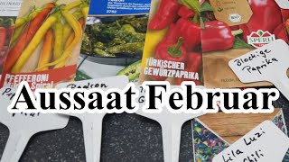 Paprika amp co aussäen  Aussaat Februar  Aussaattipps  Jungpflanzen vorziehen für die Gartensaison [upl. by Amato]