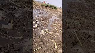 Deshi balak video farming viralvideo [upl. by Carpio728]