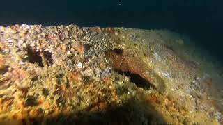 Diving Guernsey The Wreck of the Duenna [upl. by Ayiotal]