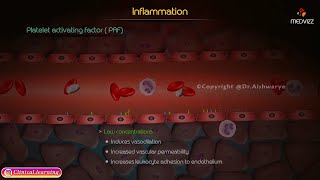 Cyclooxygenase COX  Inflammation  Pathology [upl. by Hara338]