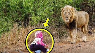 THE LION APPROACHED THE BABY AND THE UNTHINKABLE HAPPENED [upl. by Nobel]