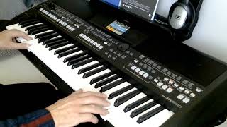 Kilimandscharo Andrea Berg cover by Henry Yamaha PSRsx600 [upl. by Eus]