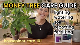 How To Care For Money Tree Plant  Watering Light Soil Repotting amp Fertilize Houseplant Care 101 [upl. by Nialb]