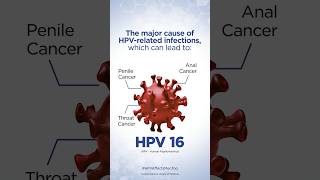 HPV Facts Every Man Should Know seruminstituteofindia [upl. by Atiz]