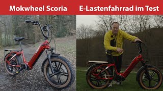 Mokwheel Scoria ELastenfahrrad und Wandler im Test  850 km Erfahrungen im Flachen und den Alpen [upl. by Jarietta]