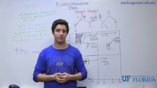 Ramachandran Plot Overview [upl. by Sihtam]