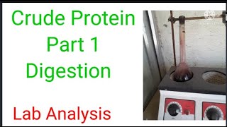 Determination of Crude Protein Content A Complete Procedure AOAC 200111 Part 1 Lab Analysis 🇮🇳 [upl. by Horan483]