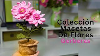 Tutorial Colección De Macetas A Crochet  Diseño 9  Gerberas💚Mayelin Ros [upl. by Frear]