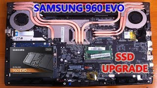 MSI GL62M 7RD SSD Upgrade Samsung 960 Evo [upl. by Sephira]