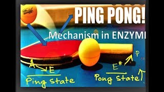 What is PING PONG mechanism Enzyme Kinetics A general concept in Biochemistry [upl. by Alya196]