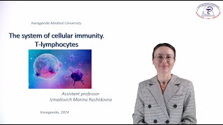 The system of cellular immunity Tlymphocytes [upl. by O'Neil381]