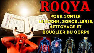 ROQYA BRULURE DJINN AMOUREUX  TRÈS FORTE QUI VA CHASSER LE DJINN DU CORPS  Coran Pour Dormir [upl. by Maidie]