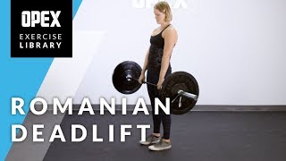 Romanian Deadlift  OPEX Exercise Library [upl. by Marj]