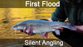 method feeder fishing for barbel  river Wye UK  Silent Angling [upl. by Teplitz]