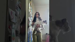 mypetdancechallenge [upl. by Feigin]