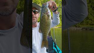 Downsizing my bait presentation paid off  Nice Smallmouth Bass keitech swimbaits [upl. by Draper]