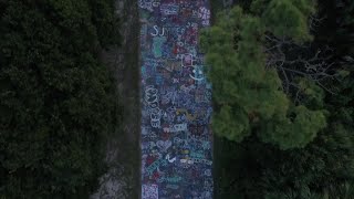 Folly Beachs graffiti path [upl. by Dayle]