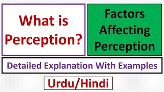 What is Perception Factors Affecting PerceptionUrduHindi [upl. by Virgil]