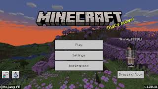 How to get worldedit in Minecraft Bedrock Edition  SkunkyTheGamer [upl. by Yrovi658]