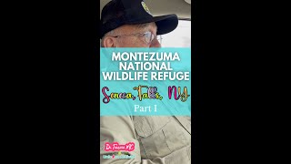 Montezuma National Wildlife Refuge Part 1 🦩✨ [upl. by Ellenaj670]